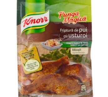 Knorr Punga Magica Pui Cu Usturoi 25g