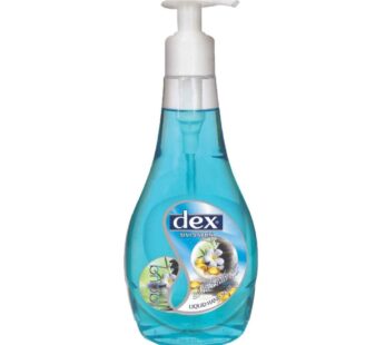 Dex Hand Wash Aqua 400ml – El Sabunu